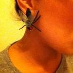 Fly Earrings